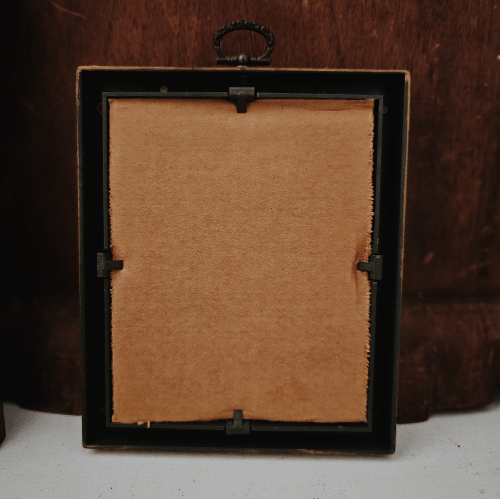 Old Framed Flower Pressed Picture with Cushioned Backing - Picture 3 of 3